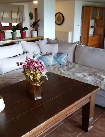 άνετη με μαγευτική θέα فيلة مدينة سكياثوس
